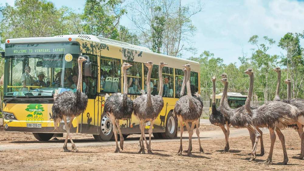 VinWonders ו-Vinpearl Safari 